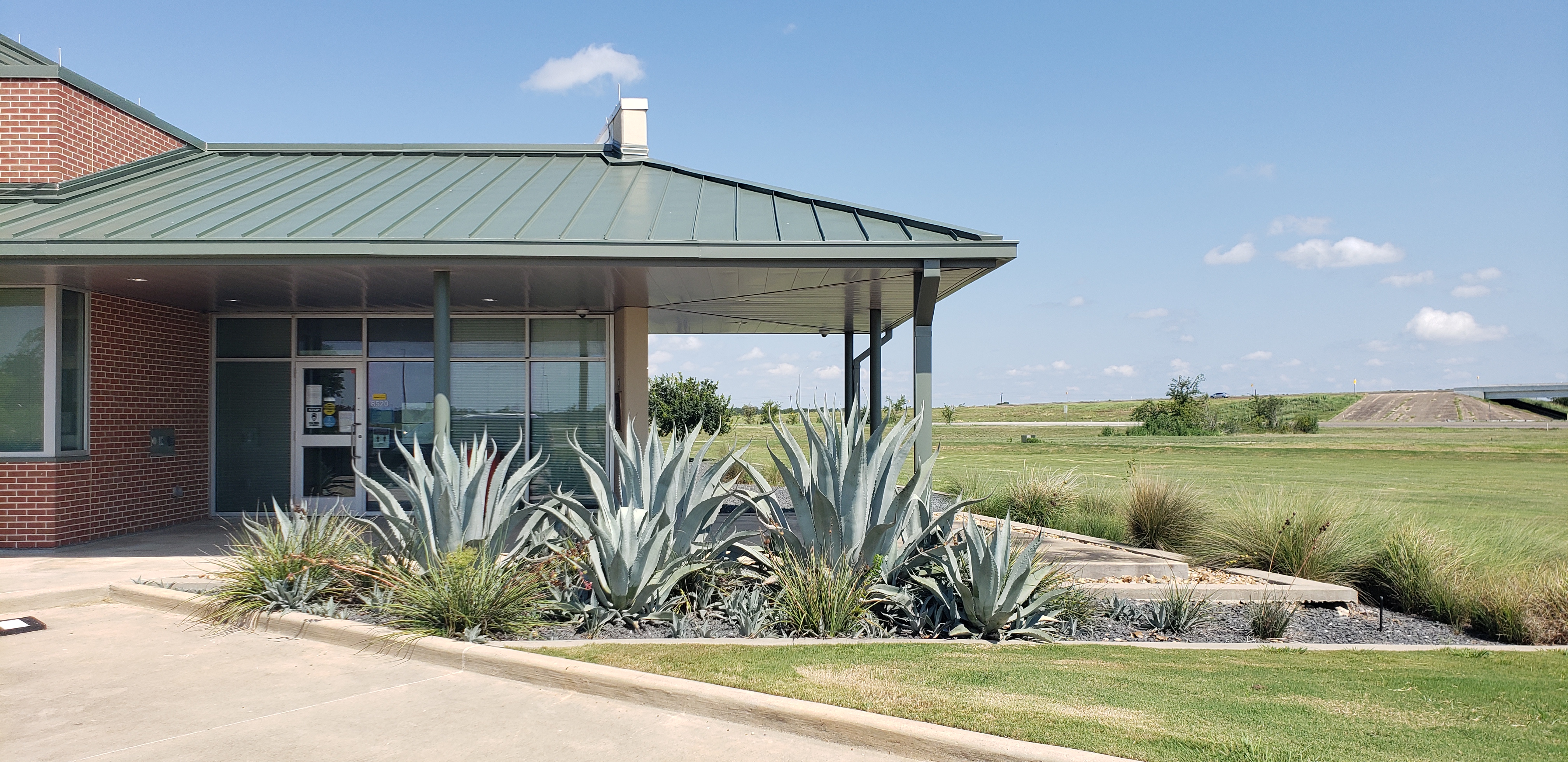 TAMUS Joint Library entrance with covered portico, brick exterior, and agave landscaping